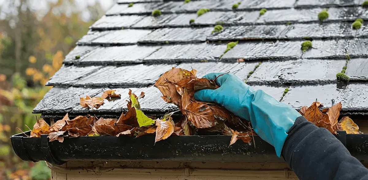 Gutter cleaning technician clearing wet leaves from roof gutters in Hollywood, FL